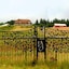 Youngberg Hill