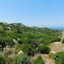 Domaine Bocca Di Feno