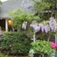 Hope And Glory Inn And Vineyard