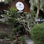 Sutera @ Mantanani Island Resort & Spa