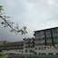 D'polo Club & Spa Resort