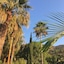 Hotel La Piscine