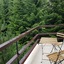 Olala Forest Apartments