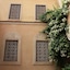 Riad Lorsya