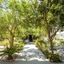 Atma Beach Rooms & Suites