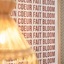 Bloom House Hotel & Spa
