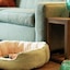 Home2 Suites by Hilton Ashburn, VA