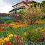 Giverny