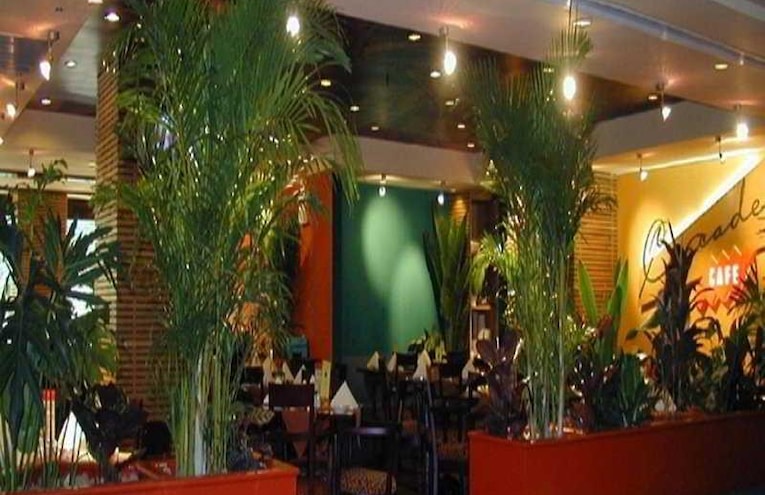 Restaurantes - 2