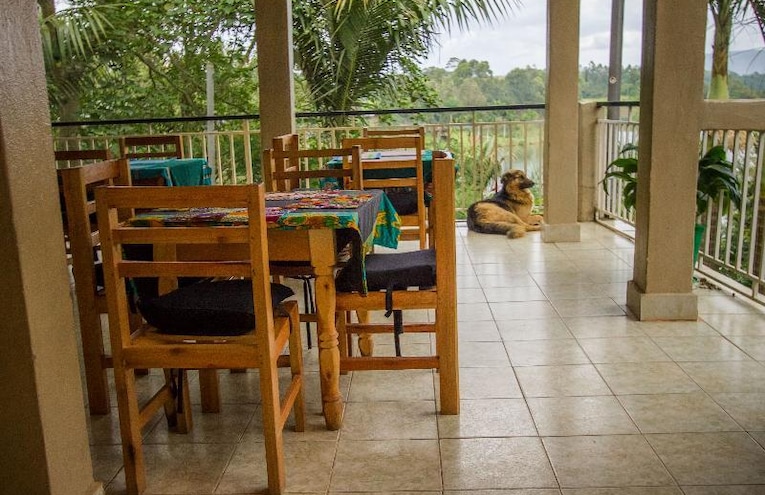Restaurantes - 1