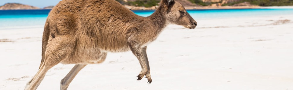 Itinerario del Crucero Australia - Norwegian Cruise Line