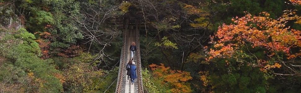 Itinerario del Crucero Japón, Corea Del Sur - Princess Cruises