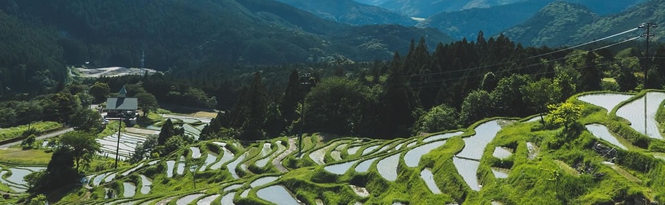 Itinerario del Crucero Japón, Corea Del Sur - Princess Cruises