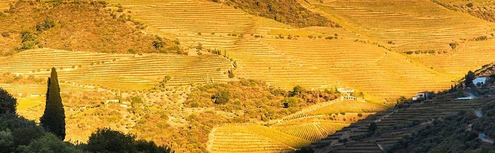Itinerario del Crucero Duero con encanto - Crucemundo