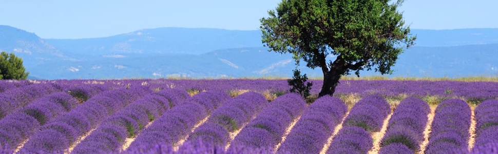 Itinerario del Crucero Francia, Italia - Silversea