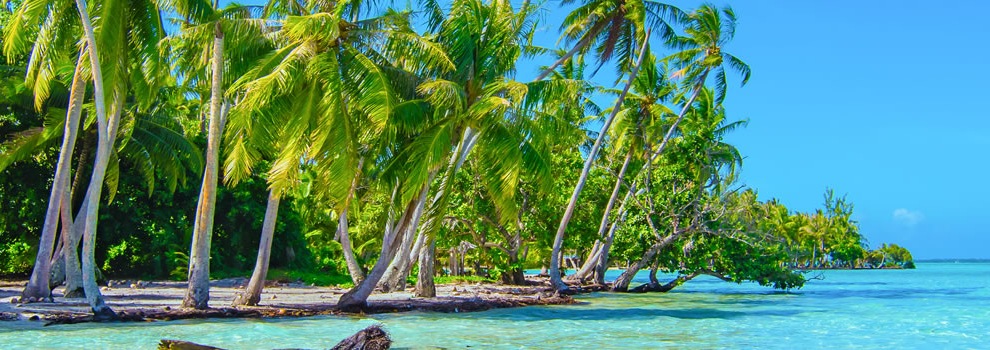 Tahaa
