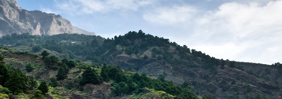 La Palma
